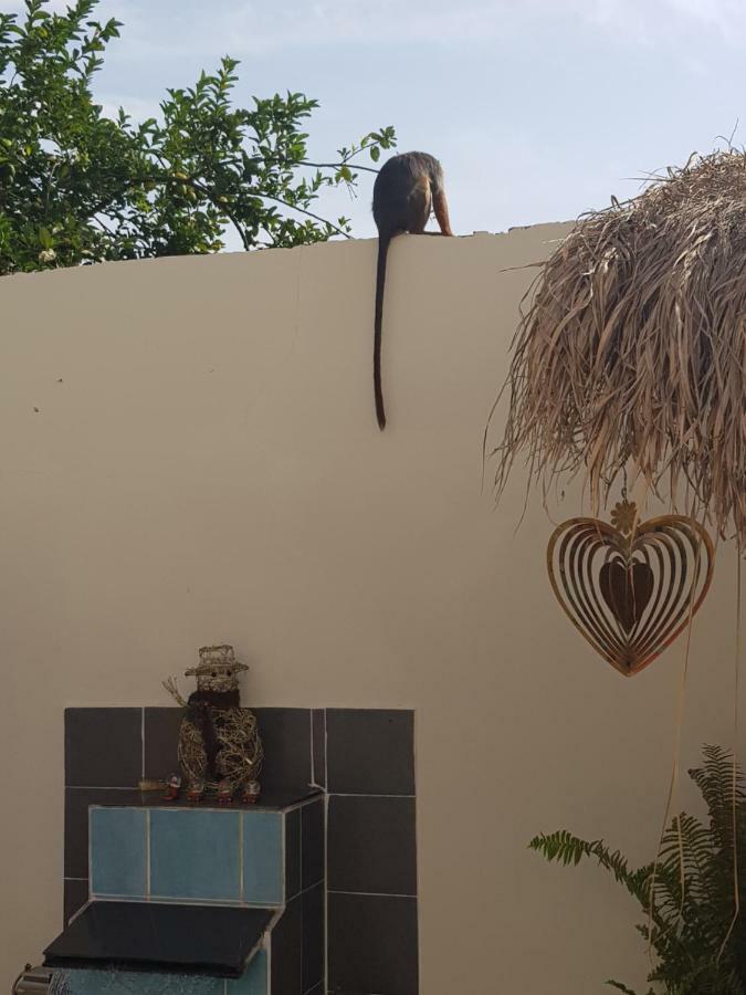 Mandinka Lodge Kololi Eksteriør billede